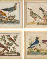 Folge von vier Vogeldarstellungen