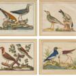 Folge von vier Vogeldarstellungen - Archives des enchères