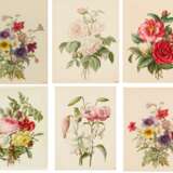 Fünf Aquarelle: Blumenstudien mit Rosen, Lilien und Trompetenzungen - photo 1