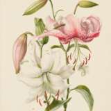 Fünf Aquarelle: Blumenstudien mit Rosen, Lilien und Trompetenzungen - фото 3