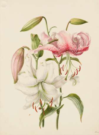 Fünf Aquarelle: Blumenstudien mit Rosen, Lilien und Trompetenzungen - фото 3