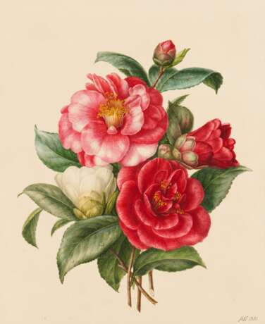 Fünf Aquarelle: Blumenstudien mit Rosen, Lilien und Trompetenzungen - photo 9