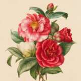 Fünf Aquarelle: Blumenstudien mit Rosen, Lilien und Trompetenzungen - фото 9