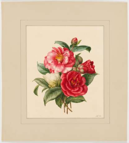 Fünf Aquarelle: Blumenstudien mit Rosen, Lilien und Trompetenzungen - фото 10