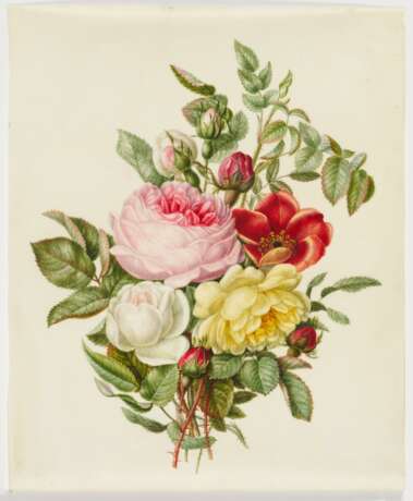 Fünf Aquarelle: Blumenstudien mit Rosen, Lilien und Trompetenzungen - Foto 16