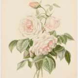 Fünf Aquarelle: Blumenstudien mit Rosen, Lilien und Trompetenzungen - Foto 19