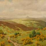Eifellandschaft mit blühendem Ginster - фото 1