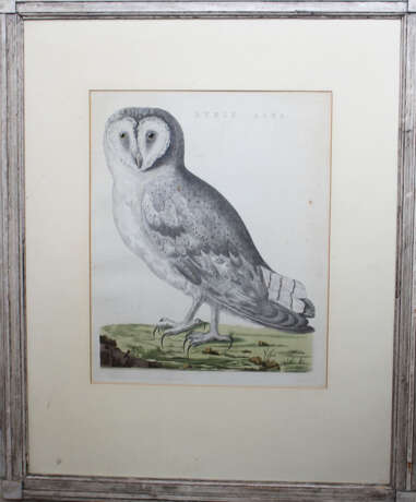 Ornithological Copper Print - Foto 1