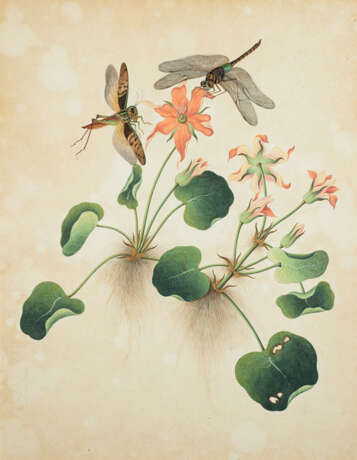 Sieben Schmetterlingsdarstellungen auf Futterpflanzen - фото 5