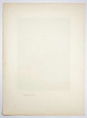 Georges Braque (Argenteuil, 1881 - Paris, 1963) - Foto 165