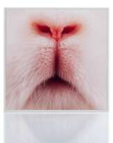 Sinje Dillenkofer (Neustadt an der Weinstrasse, geboren 1959)