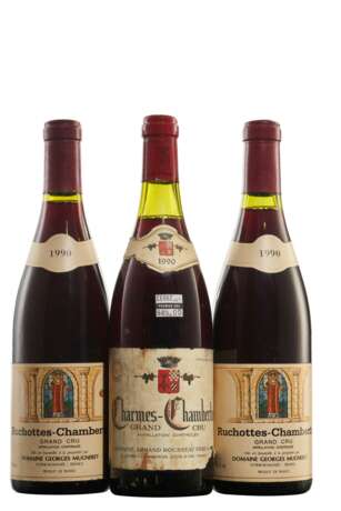 Mixed Red Burgundy - фото 1