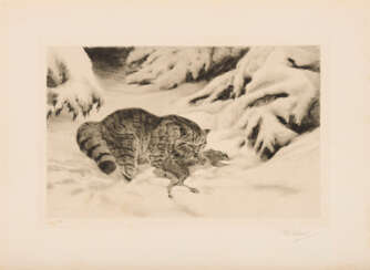 KUHNERT, Wilhelm (1865 Oppeln - 1926 Films). Wildkatze bei der Hasenjagd.