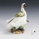 Schwan mit Jungen. Meissen. - Foto 1