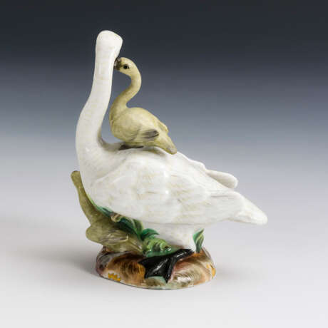 Schwan mit Jungen. Meissen. - Foto 2