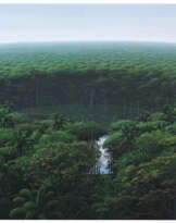 Tomás Sánchez (b. 1948)