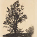 DER GROSSE BAUM (UM 1874/75) - фото 1