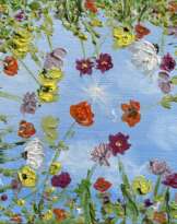 Daisies Meadow Flowers Landscape grass Daisies Meadow Flowers Landscape grass