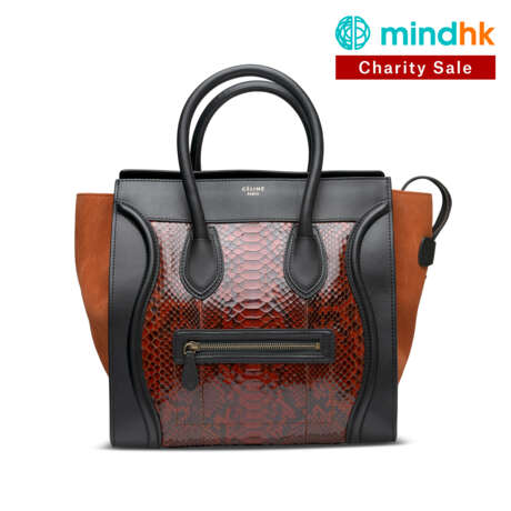 A SHINY BROWN PYTHON, ORANGE SUEDE & BLACK CALFSKIN LEATHER MINI LUGGAGE BAG WITH GOLD HARDWARE - Foto 1