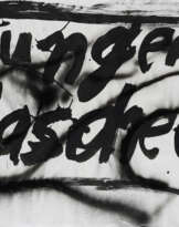 Untitled (Lungen Haschee)