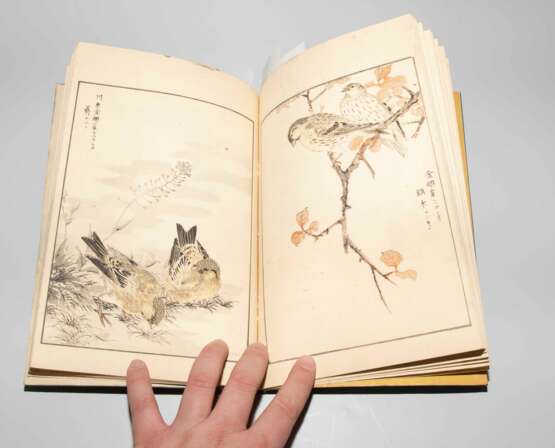 Lot: 6 Bücher von Kôno Bairei (1884–1895) und Mumata Kashu ( ?–1901) - photo 29
