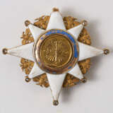 THE ORDER OF THE UNION - photo 1