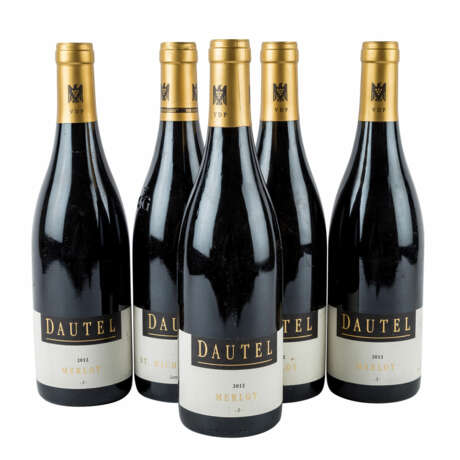 DAUTEL 5 Flaschen MERLOT -S- / ST.MICHAELSFEDER LEMBERGER 2012 - фото 1