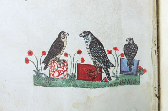 Fredericus II. (Kaiser Friedrich II. von Hohenstauffen 1194-1250) De Arte Venandi cum Avibus (Über die Kunst mit Vögeln zu jagen) - photo 7