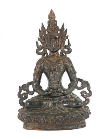 Amitabha Nepal - Foto 1