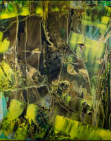 "ENCHANTED FOREST" "ENCHANTED FOREST"