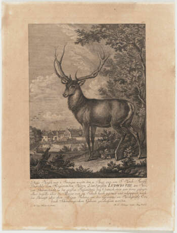 Johann Elias Ridinger - Tier- und Wilddarstellungen - фото 1