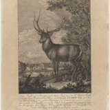 Johann Elias Ridinger - Tier- und Wilddarstellungen - фото 1