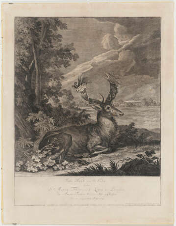 Johann Elias Ridinger - Tier- und Wilddarstellungen - фото 2