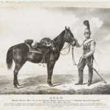 Julius I Adam, u. a. - ''Pferde orientalischer Race...'' - ''Pferde orientalischer Race...'' - ''Pascha...'' - ''Adam'' - Foto 2