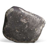OLDEST MATTER KNOWN CONTAINED IN VERY LARGE SPECIMEN OF ALLENDE - photo 3