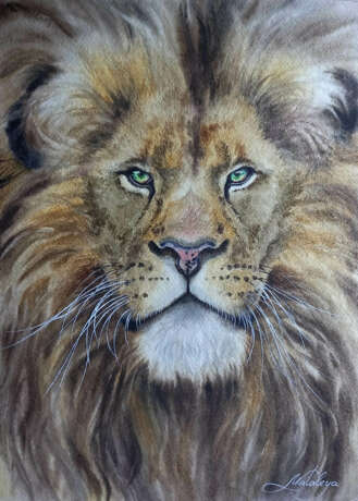 Lion Акварель на бумаге Watercolor painting Realism Animalistic Russia 2022 - photo 1
