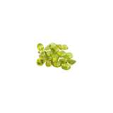 Konvolut Peridot von 22,7 ct - фото 1