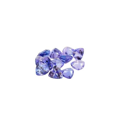 Konvolut 12 Tansanite von 7,9 ct - фото 1