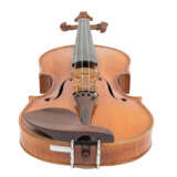 4/4 GEIGE / VIOLINE „Lacerta“, - Foto 3