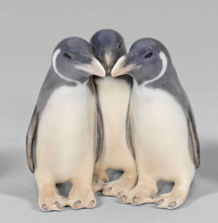 Pinguingruppe - Foto 1