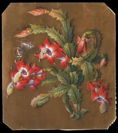 Blumenmaler um 1840: Blühender Kaktus. - фото 1