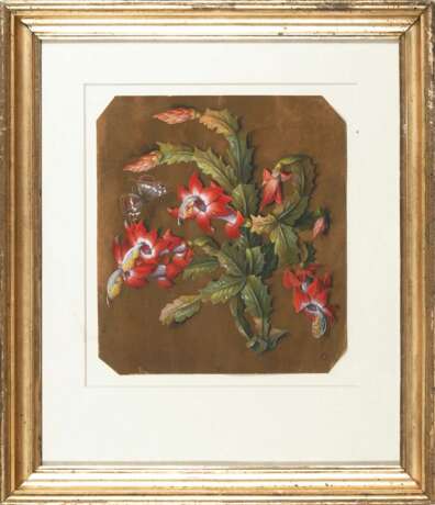 Blumenmaler um 1840: Blühender Kaktus. - Foto 2