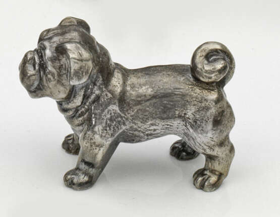 Miniatur-Bulldogge - photo 1