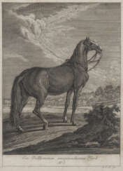 Johann Elias Ridinger