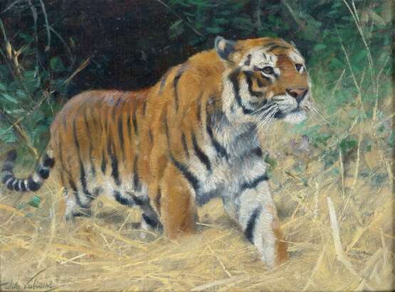 Wilhelm Kuhnert (Oppeln 1865 - Flims/CH 1926). Tiger. - photo 1