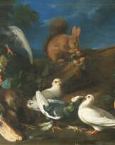 Franz Werner von Tamm (Hamburg 1658 - Wien 1724). Eichhörnchen, Meerschweinchen und Federvieh.