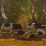 Fricke, BerTiefe: Kühe unter Bäumen. - Foto 1