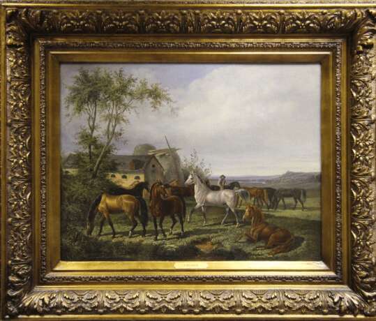 Лошади на лужайке близ конюшни - фото 1
