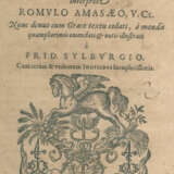 Amaseus Romulus. - фото 1