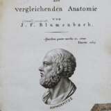 Blumenbach J.F. - photo 1